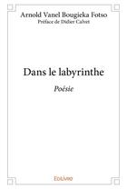 Couverture du livre « Dans le labyrinthe » de Arnold Vanel Bougiek aux éditions Edilivre