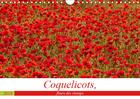 Couverture du livre « Coquelicots fleurs des champs calendrier mural 2019 din a4 horizontal - des coquelicots toute l anne » de Bouilland Steph aux éditions Calvendo