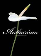 Couverture du livre « Anthurium » de Pim Van Den Akker aux éditions Terra