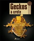 Couverture du livre « Geckos à crête » de Adam Black aux éditions Artemis