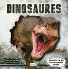 Couverture du livre « Dinosaures » de Christel Durantin aux éditions Grenouille