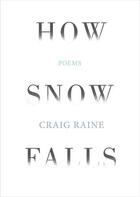 Couverture du livre « How Snow Falls » de Raine Craig aux éditions Atlantic Books Digital