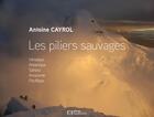 Couverture du livre « Les piliers sauvages » de Antoine Cayrol aux éditions Flandonniere