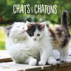 Couverture du livre « Calendrier mural chats (édition 2019) » de  aux éditions Hugo Image