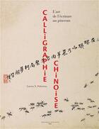 Couverture du livre « Calligraphie chinoise ; l'art de l'écriture au pinceau » de Lucien Xavier Polastron aux éditions Actes Sud