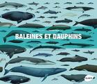 Couverture du livre « Baleines et dauphins ; histoire naturelle et guide des espèces » de Annalisa Berta aux éditions Eugen Ulmer