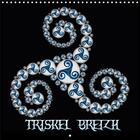Couverture du livre « Triskel breizh calendrier mural 2018 300 300 mm square - art celtique calendrier mensue » de Bluesax aux éditions Calvendo