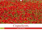 Couverture du livre « Coquelicots fleurs des champs calendrier mural 2019 din a3 horizontal - des coquelicots toute l anne » de Bouilland Steph aux éditions Calvendo