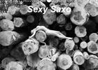 Couverture du livre « Sexy saxo calendrier mural 2020 din a3 horizontal - des nus et un saxo au gre d un » de Photographe Rog aux éditions Calvendo