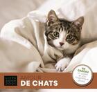 Couverture du livre « Livre-agenda ; amour de chats (édition 2021) » de  aux éditions Casa
