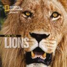 Couverture du livre « Face aux lions » de Beverly Joubert et Dereck Joubert aux éditions National Geographic