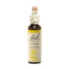 Couverture du livre « Fleurs de bach original n 13 gorse - 20 ml » de  aux éditions Dg-exodif