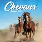 Couverture du livre « Calendrier mural chevaux 2020 » de  aux éditions Hugo Image