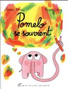 Couverture du livre « Pomelo se souvient » de Benjamin Chaud et Ramona Badescu aux éditions Albin Michel