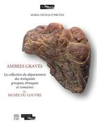 Couverture du livre « Ambres gravés ; la collection du département des antiquités grecques, étrusques et romaines du Musée du Louvre » de Maria Cecilia D'Ercole aux éditions Somogy