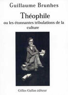 Couverture du livre « Théophile ou les étonnantes tribulations de la culture » de Guillaume Bruhnes aux éditions Altitude