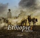 Couverture du livre « Les éthiopies singulières » de Georges Courreges et Alain Sancerni aux éditions Hozhoni