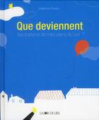Couverture du livre « Que deviennent les ballons lâchés dans le ciel ? » de Delphine Chedru aux éditions La Joie De Lire