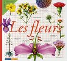 Couverture du livre « Les fleurs » de Maria Angels aux éditions Circonflexe