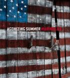Couverture du livre « Agonizing summer » de Marina Cox et Lucinda Williams et Larry Fink aux éditions Arp2 Publishing