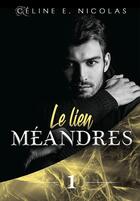 Couverture du livre « Méandres Tome 1 ; le lien » de Celine E. Nicolas aux éditions Bookelis