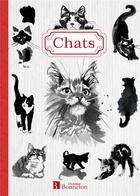 Couverture du livre « Carnet de notes chats » de  aux éditions Bonneton