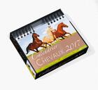 Couverture du livre « Calendrier des chevaux (édition 2017) » de Emilie Gillet aux éditions Larousse