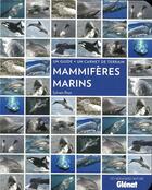 Couverture du livre « Mammifères marins » de Sylvain Reyt aux éditions Glenat