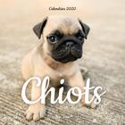 Couverture du livre « Calendrier mural chiots 2020 » de  aux éditions Hugo Image