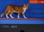 Couverture du livre « 52 semaines chats 2012 » de Francoise Cappelle aux éditions Solar
