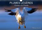 Couverture du livre « Plumes legeres oiseaux du monde calendrier mural 2020 din a4 horizontal - treize photos d oiseaux en » de Philippe Henry aux éditions Calvendo