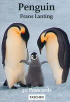 Couverture du livre « Pk-lanting pingouins » de  aux éditions Taschen