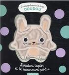 Couverture du livre « Doudou lapin et le nounours perdu » de Bardy aux éditions Casterman