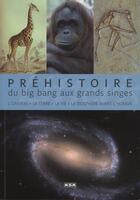 Couverture du livre « Préhistoire, du big bang aux grands singes » de Jean-Marc Perino aux éditions Msm