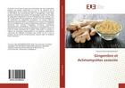 Couverture du livre « Gingembre et actinomycetes associes » de Onja Andriambeloson aux éditions Editions Universitaires Europeennes