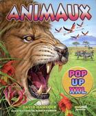 Couverture du livre « Pop-up XXL : animaux » de David Hawcock et Rudolph Farkas aux éditions Nuinui Jeunesse