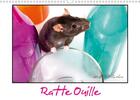 Couverture du livre « Ratte Ouille (Calendrier mural 2020 DIN A3 horizontal) ; Gentille muridée (Calendrier mensuel, 14 Pages ) » de Kathy Mahevo aux éditions Calvendo