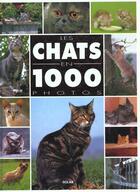 Couverture du livre « Chats En 1000 Photos » de Philippe Coppe aux éditions Solar