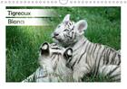 Couverture du livre « Tigreaux blancs calendrier mural 2018 din a4 horizontal - portraits animaliers de tigrea » de Photography Jes aux éditions Calvendo