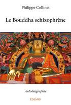 Couverture du livre « Le bouddha schizophrène » de Philippe Collinet aux éditions Edilivre