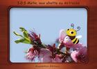 Couverture du livre « S.O.S. Mélie, une abeille en détresse » de Nathalie Ragondet et Magali Teyzier aux éditions Kamishibais