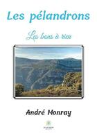 Couverture du livre « Les pélandrons : les bons à rien » de Andre Monray aux éditions Le Lys Bleu