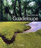 Couverture du livre « Précieuse Guadeloupe » de  aux éditions Herve Chopin