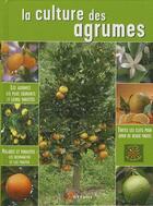 Couverture du livre « La culture des agrumes » de  aux éditions Artemis