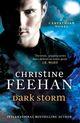 Couverture du livre « Dark Storm » de Christine Feehan aux éditions Editions Racine