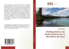 Couverture du livre « Biodegradation des hydrocarbures par la microflore des eaux » de Hassaine Amina aux éditions Editions Universitaires Europeennes