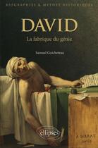 Couverture du livre « David ; la fabrique du génie » de Samuel Guicheteau aux éditions Ellipses
