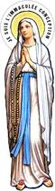 Couverture du livre « Notre-dame de Lourdes : la immaculee conception » de Jude Saint aux éditions Saint Jude