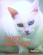 Couverture du livre « Chats insolites » de Camberlin Anne aux éditions Hugo Image