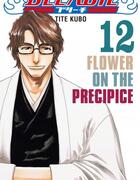 Couverture du livre « Bleach Tome 12 : flower on the precipice » de Tite Kubo aux éditions Glenat Manga